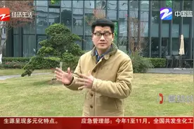 乘客称被“花小猪”司机拒载 司机：他砸我车扔我烟头怎么算？视频封面