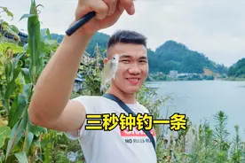 钓鱼高手在民间，小伙三秒钟就钓一条，这么快怎么做到的？视频封面