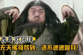 西毒欧阳锋（五）不，这不是西毒，这是无天佛祖！视频封面