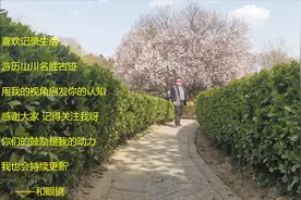 西安青龙寺，在日本人心目中位置这么重要，原来是这样 。视频封面