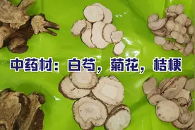 中药材：家乡的地道药材：白芍，菊花，白芷，桔梗。视频封面