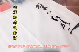 11.10毛泽东诗词《临江仙 给丁玲同志》解读视频封面