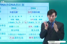 【口腔主治】RNA和DNA的区别—七颗牙学堂