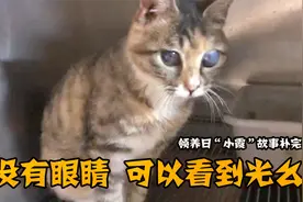 没有眼睛  可以看到光么视频封面