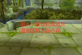 魔兽世界怀旧服猎人一波拉完厄运东，温室区树人加小花视频封面