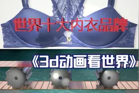 3D动画看世界（世界十大内衣品牌）视频封面