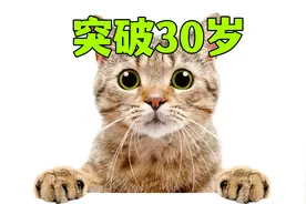 你家猫的寿命有望达到30岁！视频封面