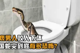 猥亵男人咬人下体，泰国蛇灾到底有多恐怖？视频封面