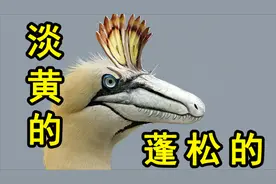 【恐龙时代】名扬天下的“迅猛龙”只是移花接木的骗局？驰龙科！视频封面