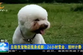 自助洗宠物店现身成都！24小时营业，20元可洗半小时