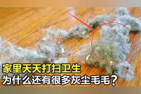 为什么家中天天打扫，还会出现很多“毛毛”？这些毛毛怎么来的？