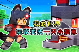 我的世界：玩家是一只小狼崽，在村里找肉吃，阴差阳错成了吉祥物