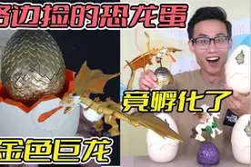 路边捡的恐龙蛋，竟然用手摩擦就能孵化，金蛋里竟是远古巨龙！视频封面