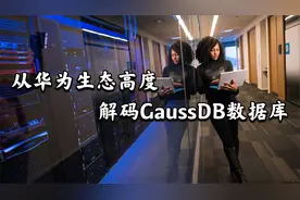 从华为生态高度解码GaussDB数据库，OLTP和OLAP是什么（含案例）
