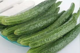 保存黄瓜不用放冰箱！教你简单方法，放1个月照样翠绿新鲜，厉害视频封面