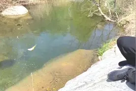 乡村三贾去小河，钓了很原生态小鱼，用力过猛拉鱼差点掉进河里视频封面