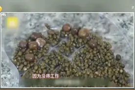 女子腹痛不止，医生竟从体内取出2000多颗结石？都是坏习惯惹的祸视频封面