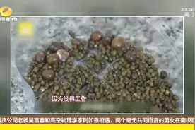 女子腹痛不止，医生竟从体内取出2000多颗结石？都是坏习惯惹的祸视频封面