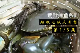 海哥兄弟趁着涨潮期间下竹笼捕螃蟹，退潮之后可谓是收获满满啊！