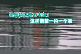 夜钓黑漂顿口都不中鱼，问题出在了这里，这样调整一钓一个准！视频封面