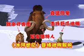 希德其实是地懒而非树懒？【浅析《冰河世纪》登场的动物】视频封面