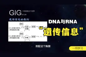 039.遗传信息之DNA与RNA详解，师承李永乐视频封面