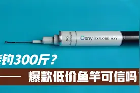 销量10万的百元级鱼竿，宣称能钓起300斤的鱼，其中有何猫腻？视频封面
