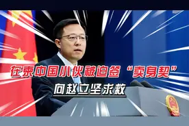 在柬中国小伙被迫装美女诈骗，求救没人相信，赵立坚联合使馆救人视频封面