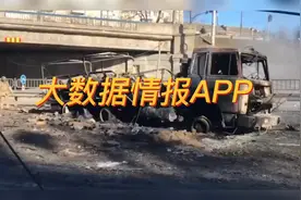 大数据情报APP视频封面