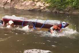 非洲黑哥步行10天到达原始森林盗窃红木，违法卖给中国神秘老板视频封面