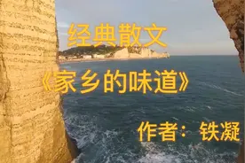 经典散文，《家乡的味道》，作者铁凝视频封面