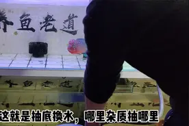 去除小鱼缸底部杂质最好、最容易操作的方法，就是抽底换水视频封面