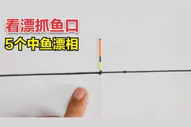 钓鱼看漂相抓鱼口很重要！5个中鱼浮漂动作，看到时应快速扬竿