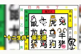 “十二生肖”帝王谱视频封面