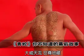 全网爆火的大威天龙，赵文卓在拍戏时念的居然是1234视频封面