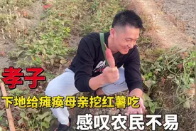 孝子下地给瘫痪母亲挖红薯吃,遭受百年难遇旱灾,感叹农民的不易视频封面