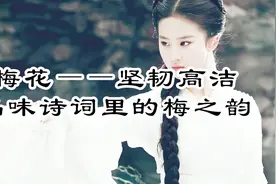 梅花象征着幸福、快乐、友谊与坚强，一起通过诗词来欣赏其魅力！视频封面
