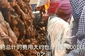 种植十亩生姜能赚多少钱？机械化节省不少钱，利润至少在20几万！视频封面