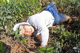 渔夫掏螃蟹再次翻车，痛到地上打滚，看这收获太值了！视频封面