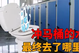 你有没有想过，冲马桶的水最终会净化成饮用水？污水处理流程解读视频封面