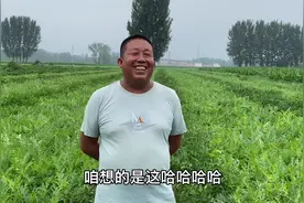 河南周口西瓜大丰收，一亩地竟然卖这么高，兄弟直说抓住了视频封面