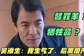 最后的对决：吴淮生不愿充当牺牲品，决定放手一搏，硬刚郑副市长视频封面