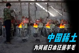 中国曾一度垄断世界稀土供应，为何却被日本狂薅羊毛？视频封面