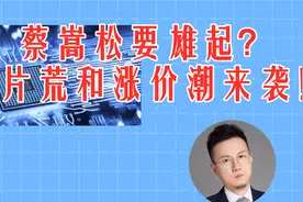 蔡嵩松要雄起了？芯片荒和涨价潮来袭！诺安成长混合值得买吗？视频封面