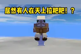 我的世界：居然有人在天上拉粑粑，下面的人可真是遭殃了！
