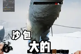 我：有没有见过沙包大的拳头？视频封面