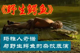 野生鳄鱼和玛雅人奇诺的杂技表演，和鳄鱼在水里摔跤也仅此一人视频封面