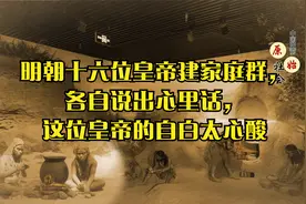 明朝十六位皇帝建家庭群，各自说出心里话，这位皇帝的自白太心酸视频封面