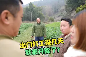 搞笑剧：这大年十五还没过，闷墩出门打工几天就又回来了，爆笑！视频封面