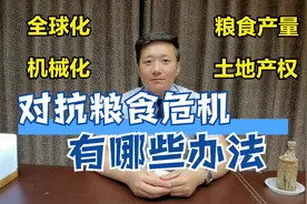粮食危机究竟是怎么回事，为什么我们不怕粮食危机，视频封面